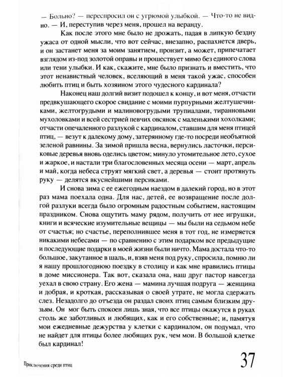 Приключение среди птиц