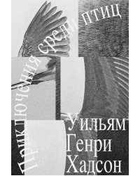 Приключение среди птиц