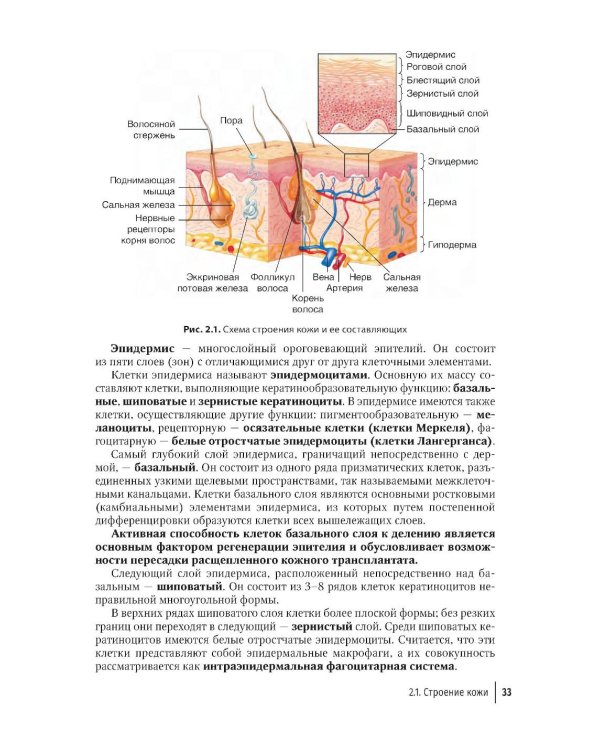 Пластика местными тканями на лице: Учебное пособие для врачей
