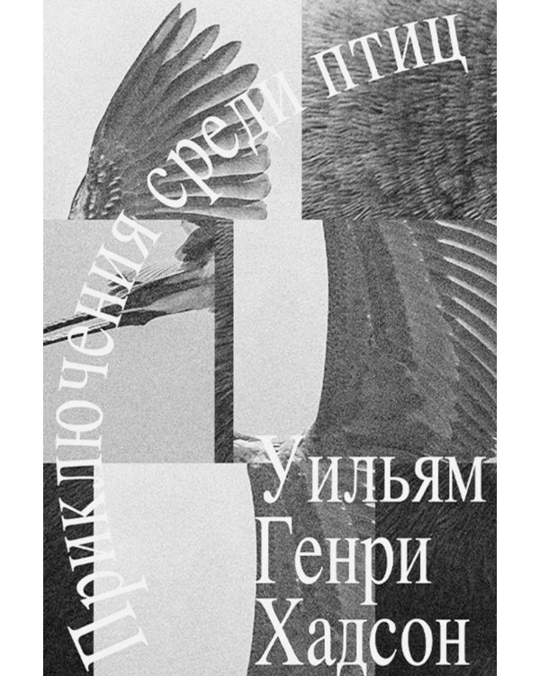 Приключение среди птиц