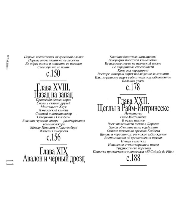 Приключение среди птиц