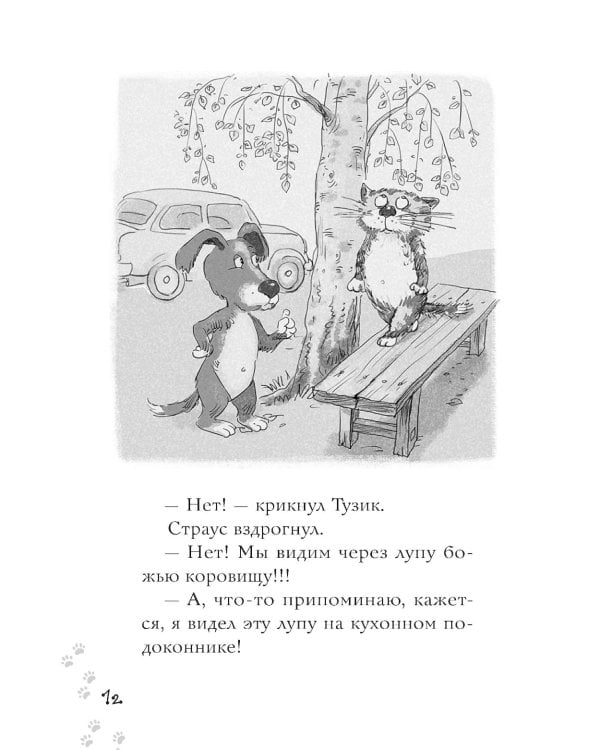 Котлетное расследование кота Страуса