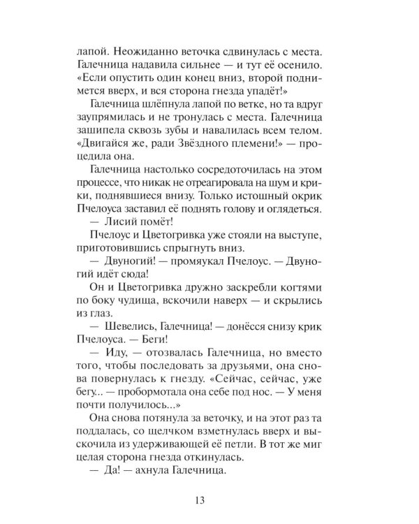 Коты-воители. "Нерассказанные истории". Секрет Мотылинки: Сборник