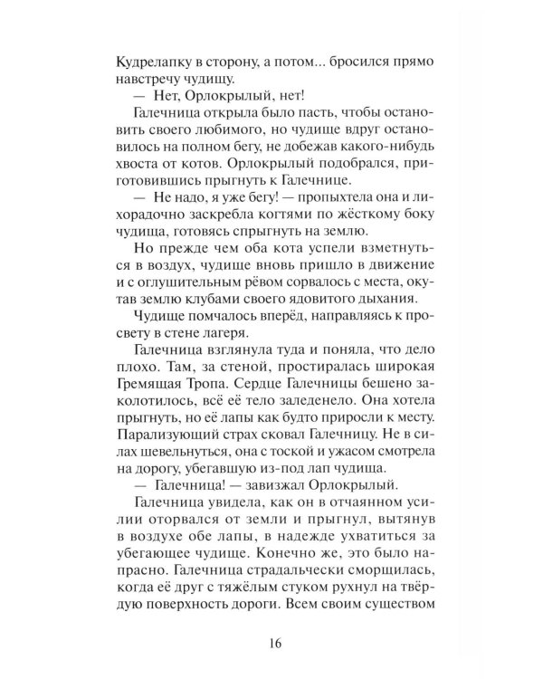 Коты-воители. "Нерассказанные истории". Секрет Мотылинки: Сборник