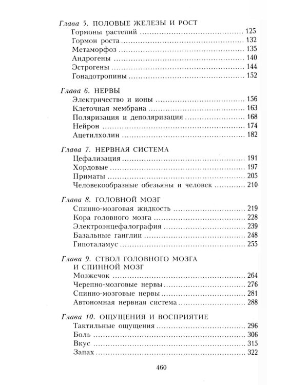 Человеческий мозг. От аксона до нейрона