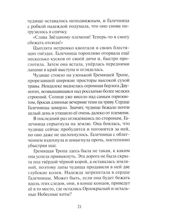 Коты-воители. "Нерассказанные истории". Секрет Мотылинки: Сборник