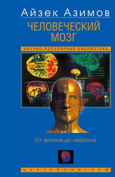 Человеческий мозг. От аксона до нейрона