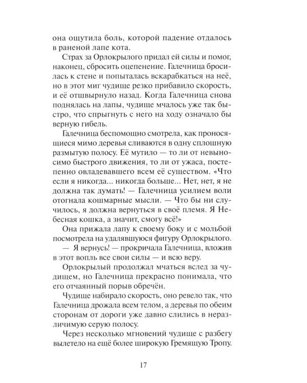 Коты-воители. "Нерассказанные истории". Секрет Мотылинки: Сборник
