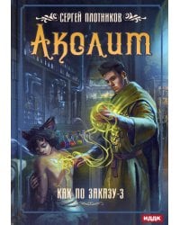 Как по заказу. Кн. 3: Аколит