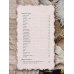 Блистательные поэтессы Серебряного века