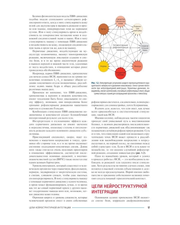 Дополнительное изображение книги «Нейроструктурная интеграция. Остеопатия нового тысячелетия»