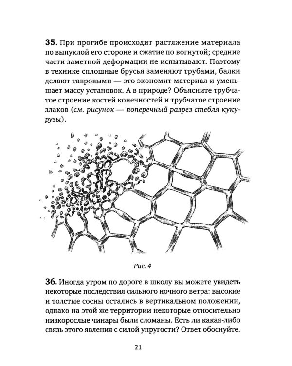 Дополнительное изображение книги «Живая физика. От простого к сложному. От практики к олимпиадам»