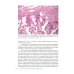 Справочник гинеколога-эндокринолога + Патологическая анатомия акушерских заболеваний (комплект из 2 книг)