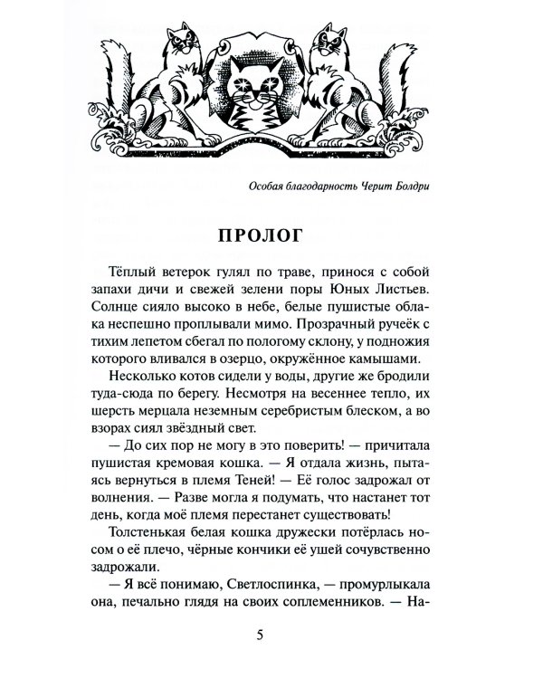 Коты воители. Огненная река