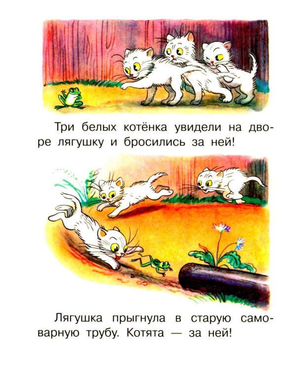 Три котенка