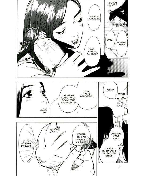 Жизнь бродячего кота: Т. 1-3 (комплект из 3-х книг)