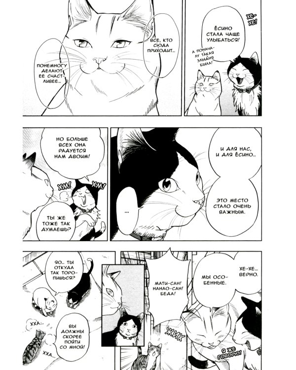 Жизнь бродячего кота: Т. 1-3 (комплект из 3-х книг)