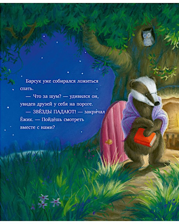 Самая звездная ночь