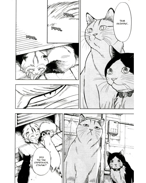 Жизнь бродячего кота: Т. 1-3 (комплект из 3-х книг)
