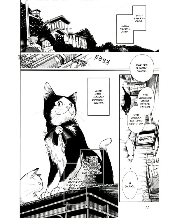 Жизнь бродячего кота: Т. 1-3 (комплект из 3-х книг)