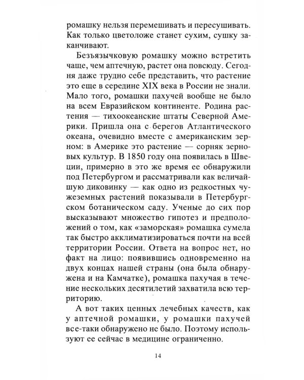 Ромашка. Мифы и реальность