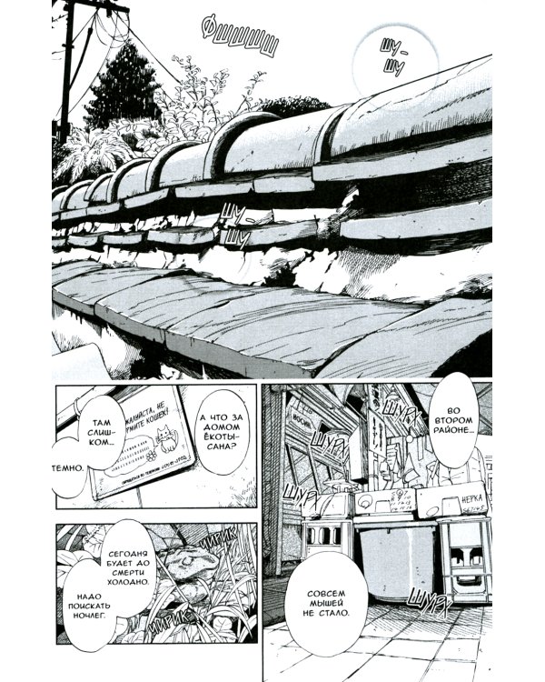 Жизнь бродячего кота: Т. 1-3 (комплект из 3-х книг)