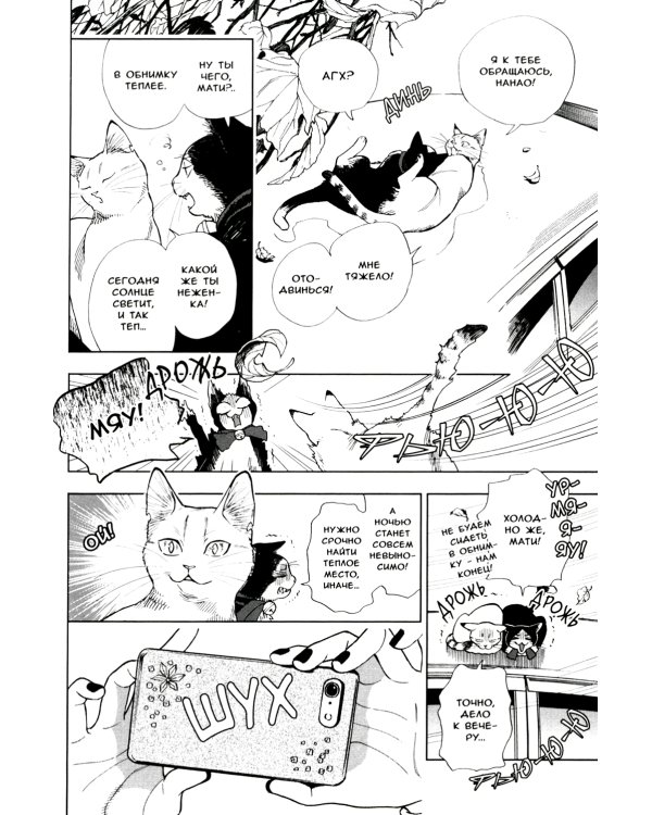 Жизнь бродячего кота: Т. 1-3 (комплект из 3-х книг)