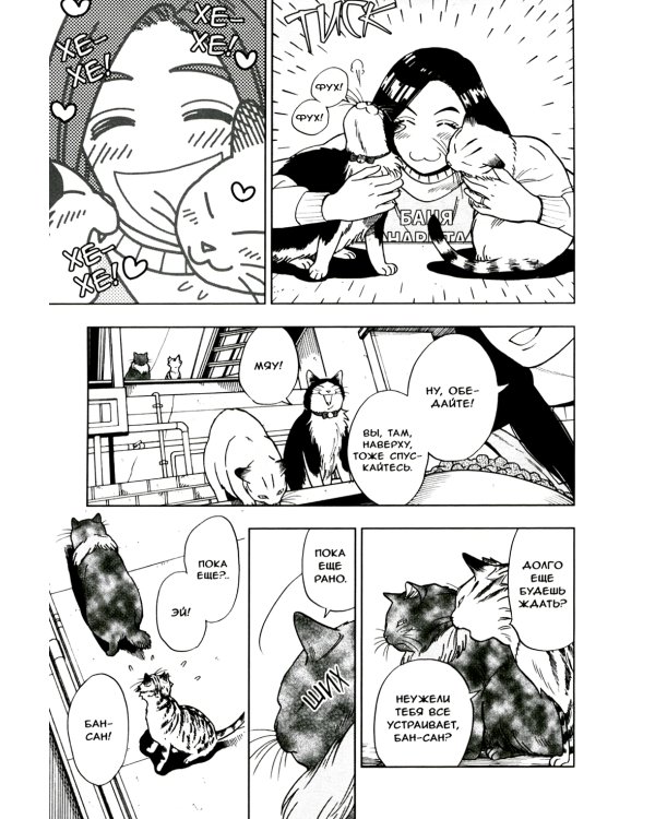 Жизнь бродячего кота: Т. 1-3 (комплект из 3-х книг)