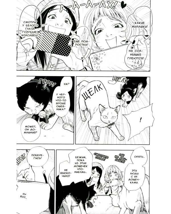 Жизнь бродячего кота: Т. 1-3 (комплект из 3-х книг)