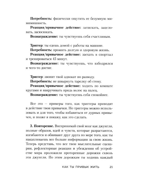 Дополнительное изображение книги «НИ ЗЯ. Откажись от пагубных привычек, обрети силу духа и стань хозяином своей судьбы»