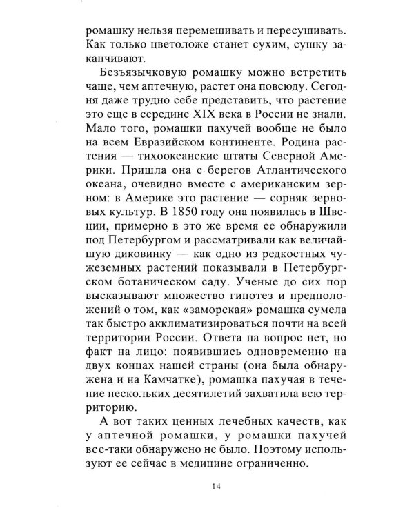 Ромашка. Мифы и реальность