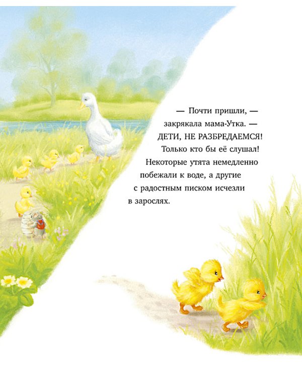 Дополнительное изображение книги «Самый преКРЯсный день»