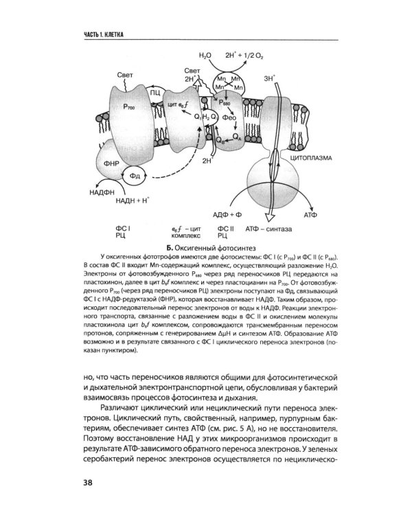 Введение в природоведческую микробиологию. 2-е изд