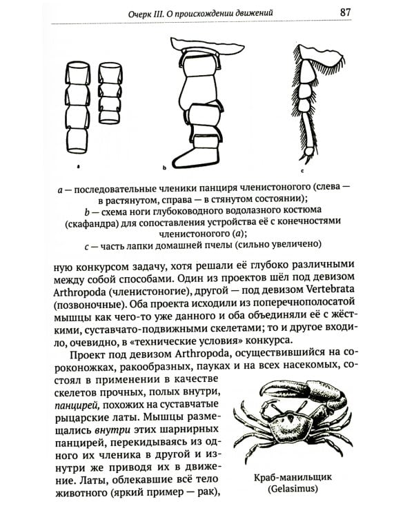 О ловкости и ее развитии