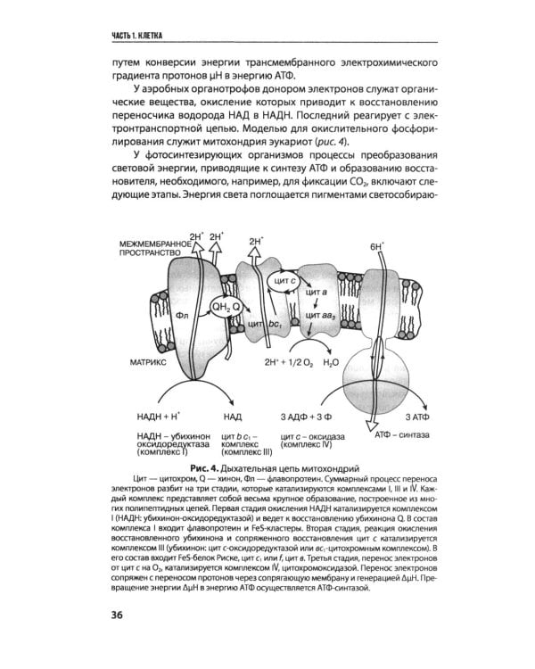 Введение в природоведческую микробиологию. 2-е изд