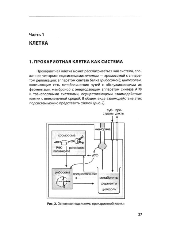 Введение в природоведческую микробиологию. 2-е изд