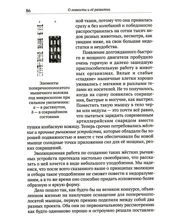 О ловкости и ее развитии