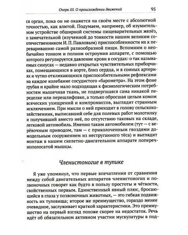 О ловкости и ее развитии