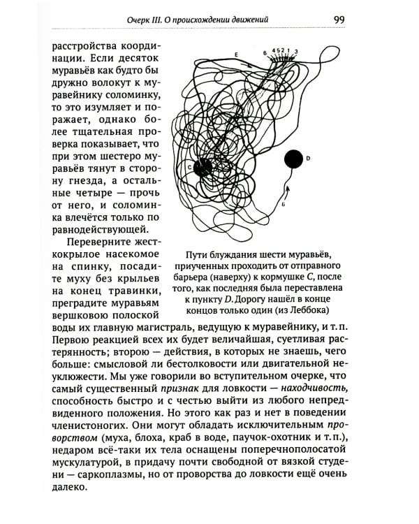 О ловкости и ее развитии