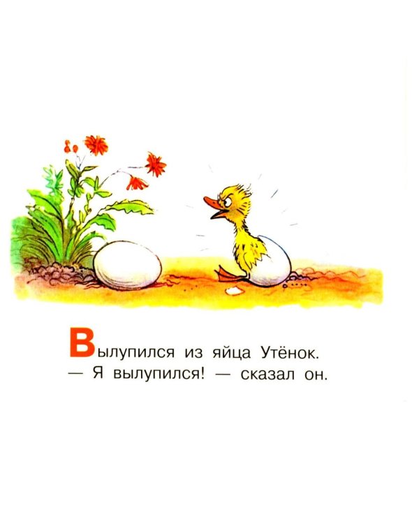 Цыпленок и Утенок