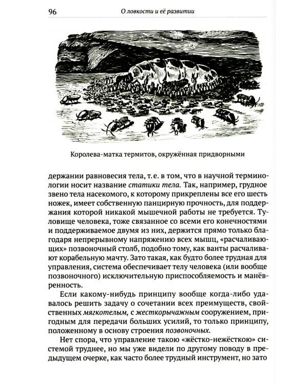 О ловкости и ее развитии