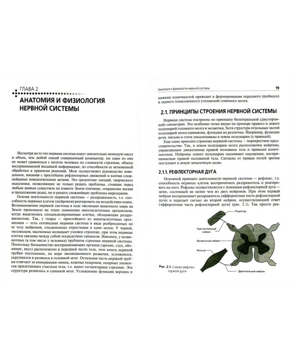 Сестринская помощь при заболеваниях нервной системы: Учебник