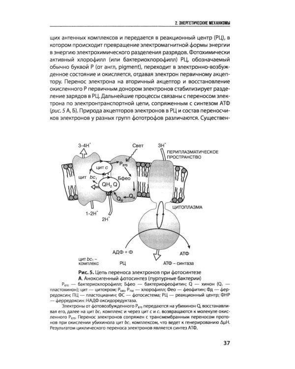 Введение в природоведческую микробиологию. 2-е изд