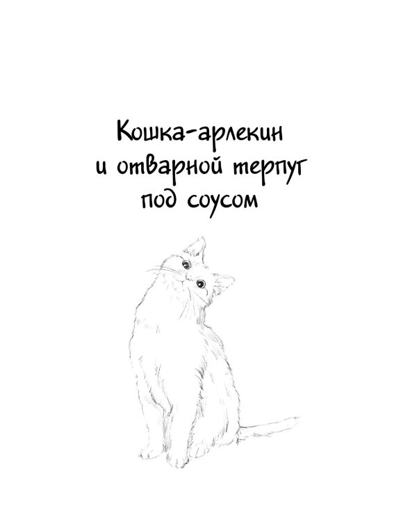 Котенок и кафе на краю океана