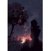 Марья Моревна: Т. 1, 2 (комплект из 2-х книг)
