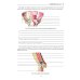Topographic Anatomy and Operative Surgery. Workbook. In 2 parts. Part 2: на англ.яз
