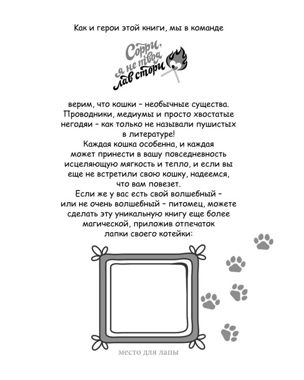 Котенок и кафе на краю океана