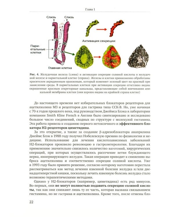 Избранные главы медицинской биохимии: болезни зрелого возраста: Учебник