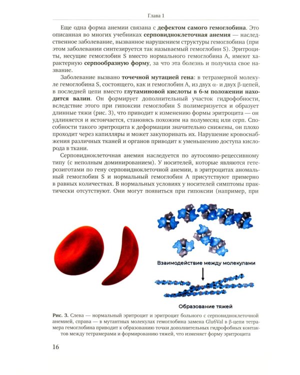 Избранные главы медицинской биохимии: болезни зрелого возраста: Учебник