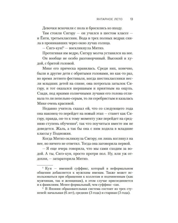 Янтарное лето: роман